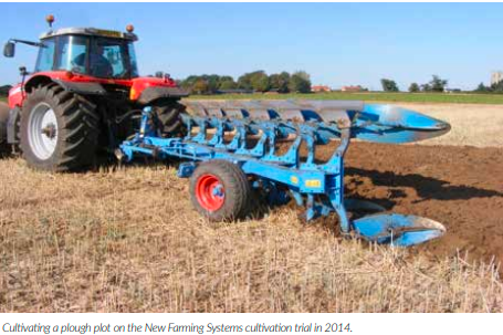 Primary Cultivation And Wheat Yields – Long-Term Work At NIAB, Lessons ...