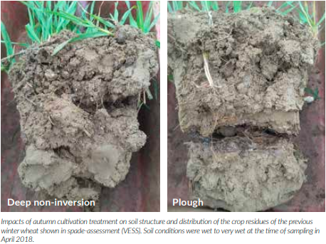 Primary Cultivation And Wheat Yields – Long-Term Work At NIAB, Lessons ...