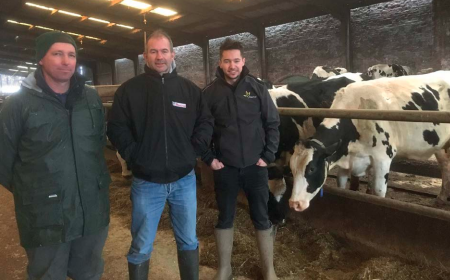 Biological Farming Brings Healthy Cows To Rangemore! – Direct Driller