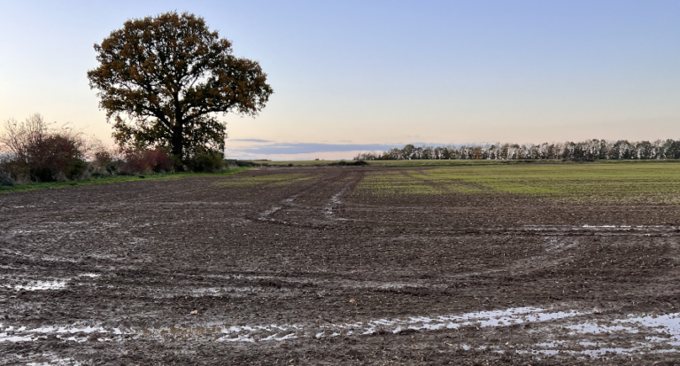 Damage limitation and root support for flooded crops – Direct Driller