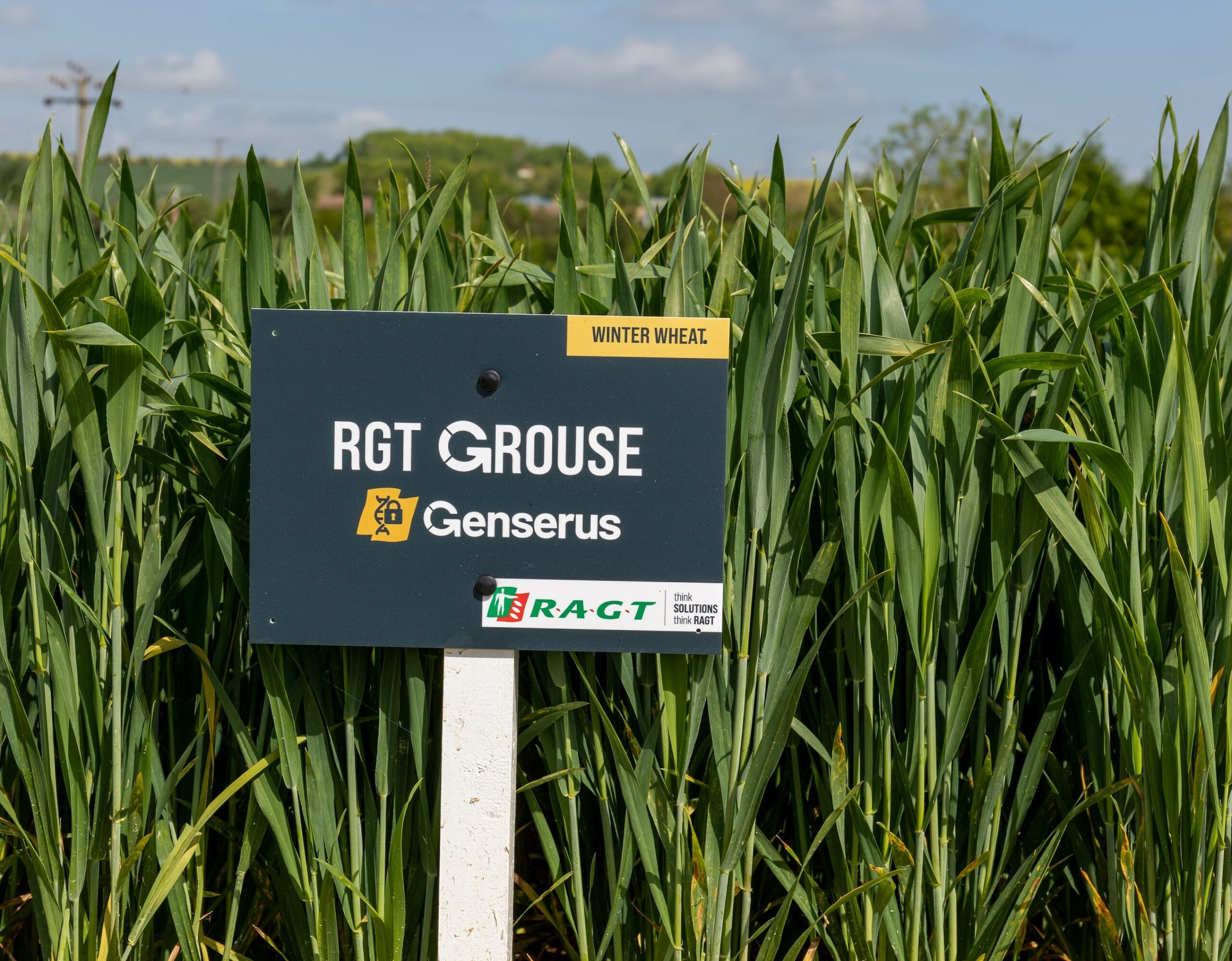 RAGT Grouse | Direct Driller Magazine