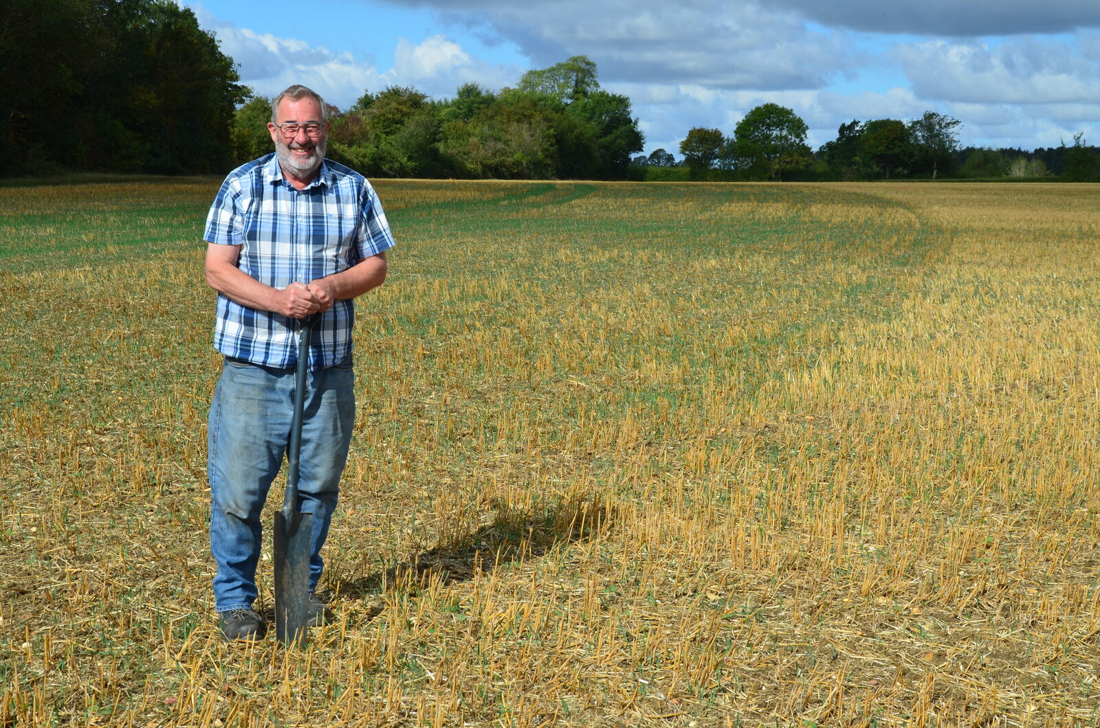 After spring oats had been harvested a cover crop was established and emerged strongly despite dry conditions