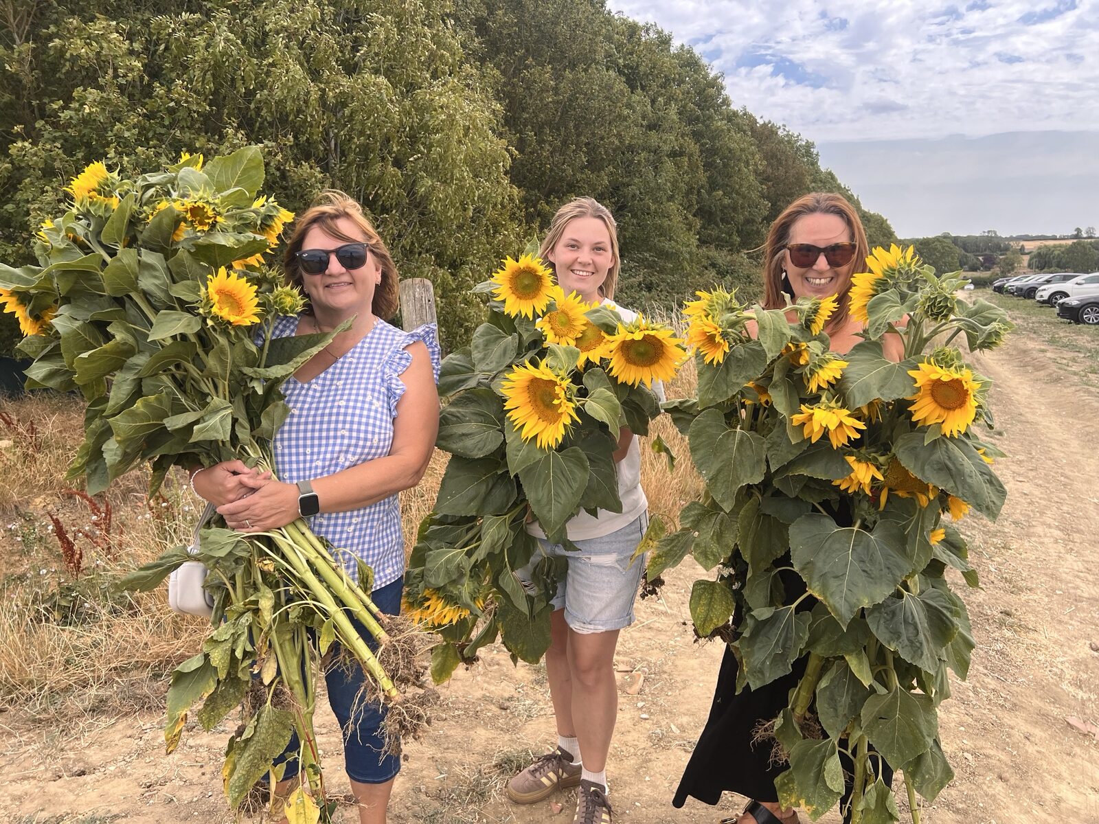 Local people picking sunflowers on the farm to raise money for the village church