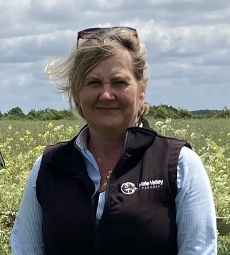 Lisa Hambly