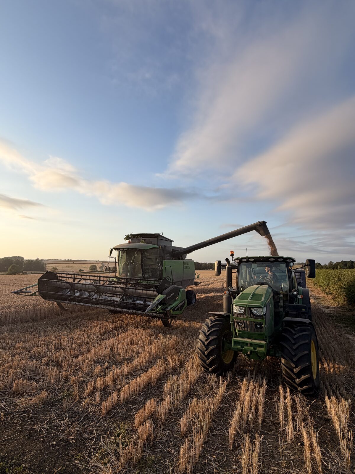 Harvest on the family farm