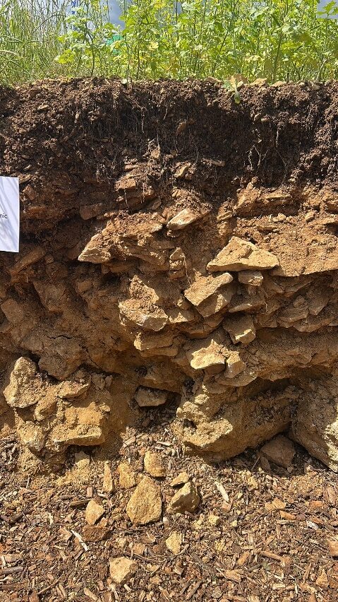 The soil pit at Cereals