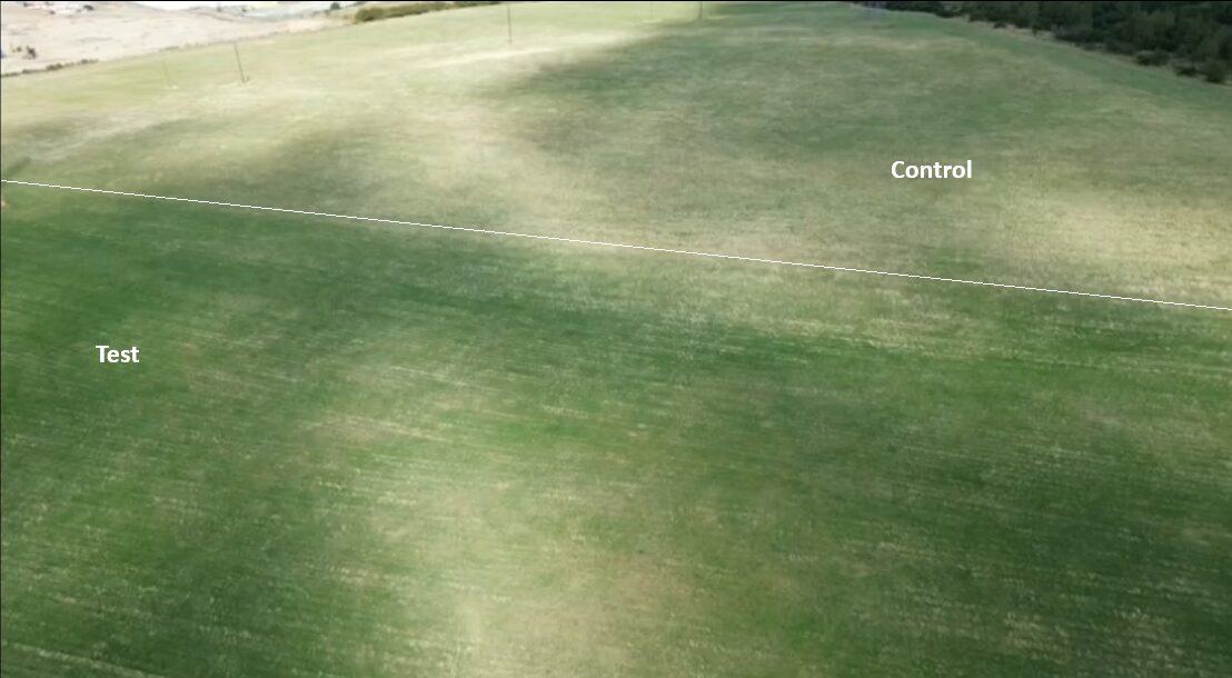 The dividing line between treated and control ground. Taken from drone footage of the trial field