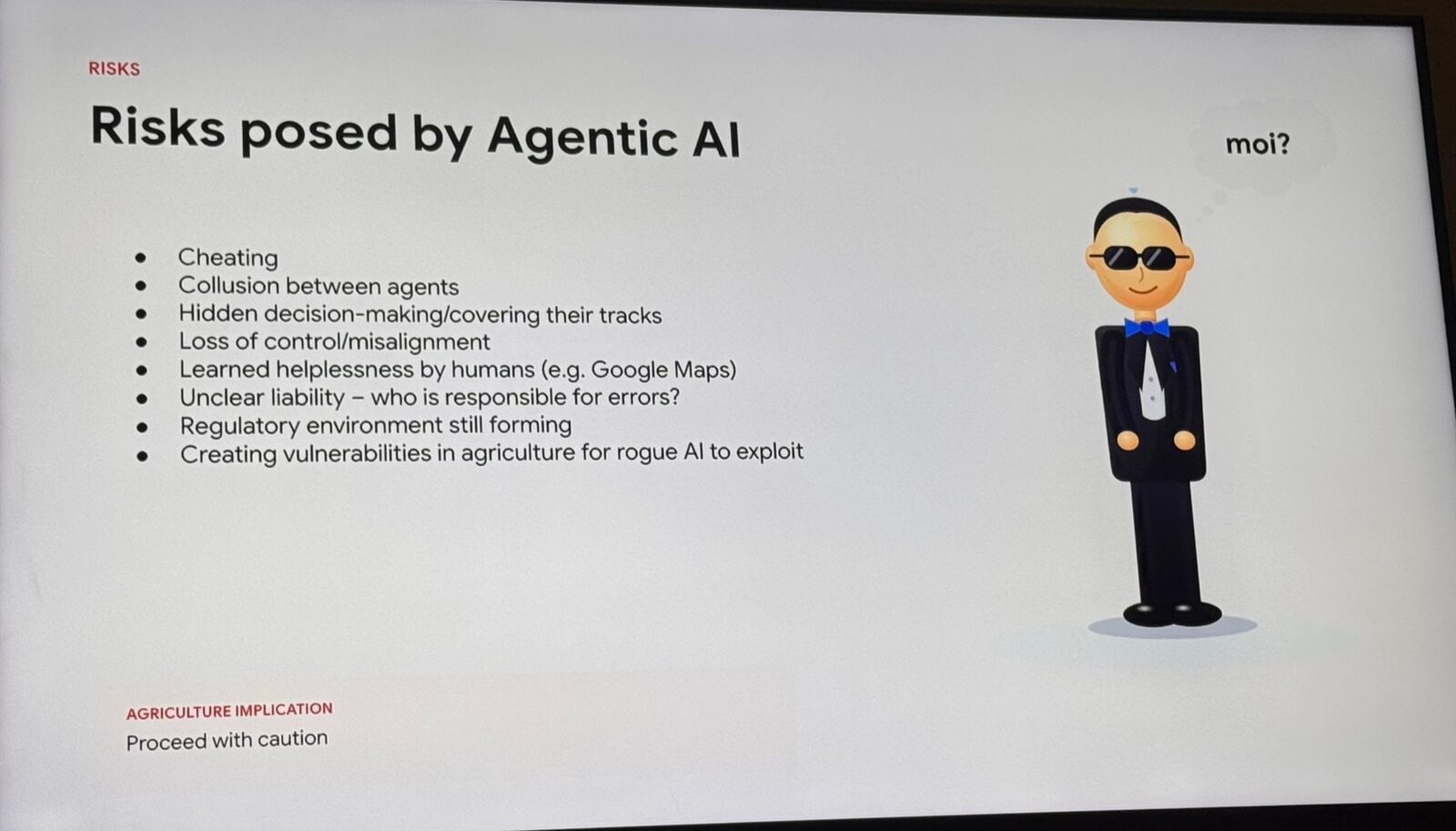 Grant's list of the risks posed by agentic AI